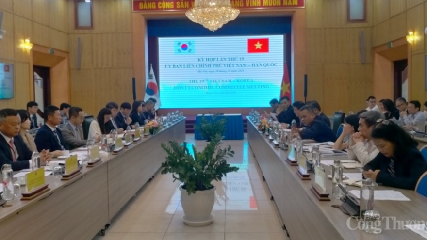 Vietnam, RoK make great strides in multifaceted co-operation